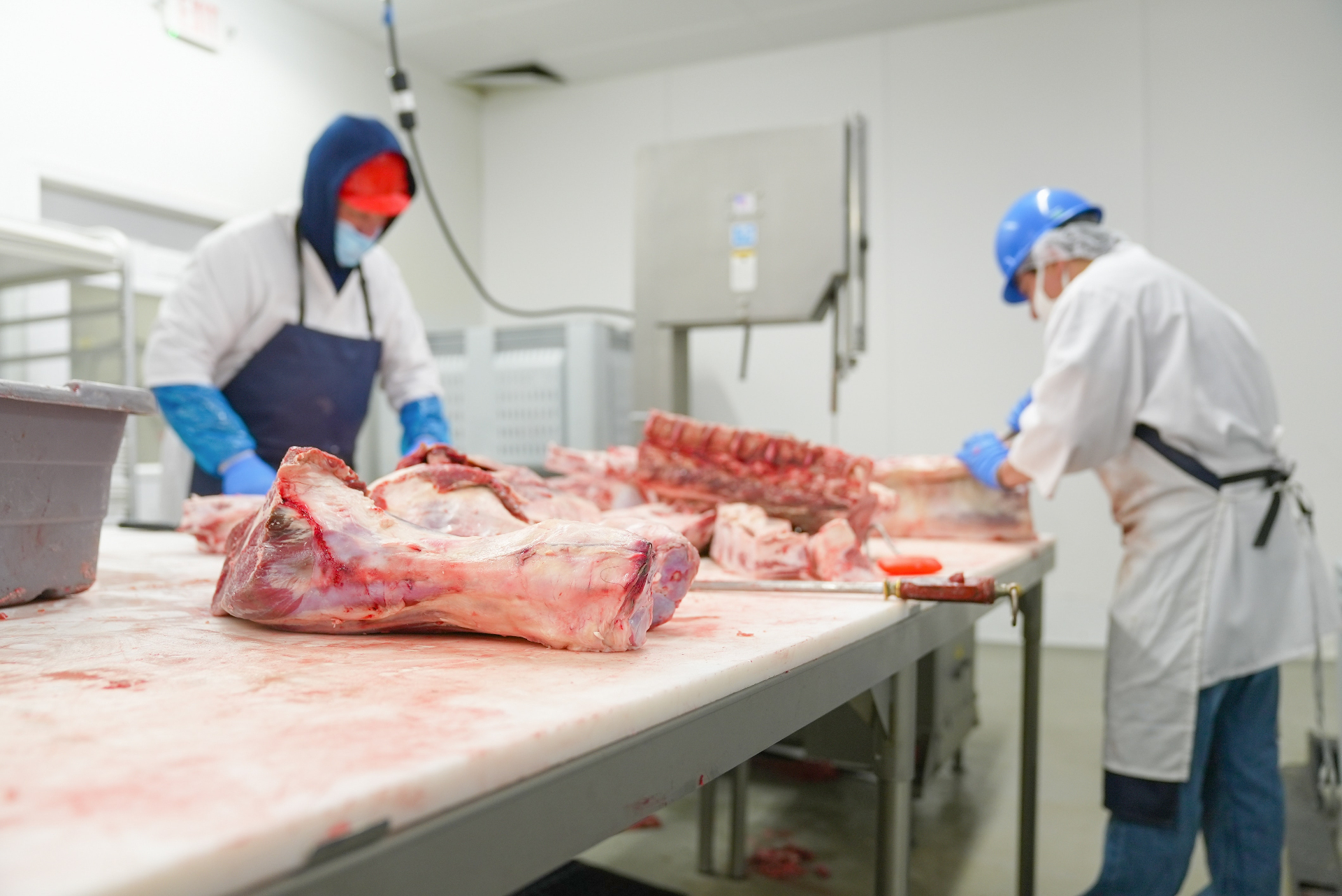 Meat Factory Workers